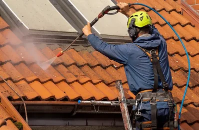 Démoussage et hydrofuge de toiture à Roiffieux